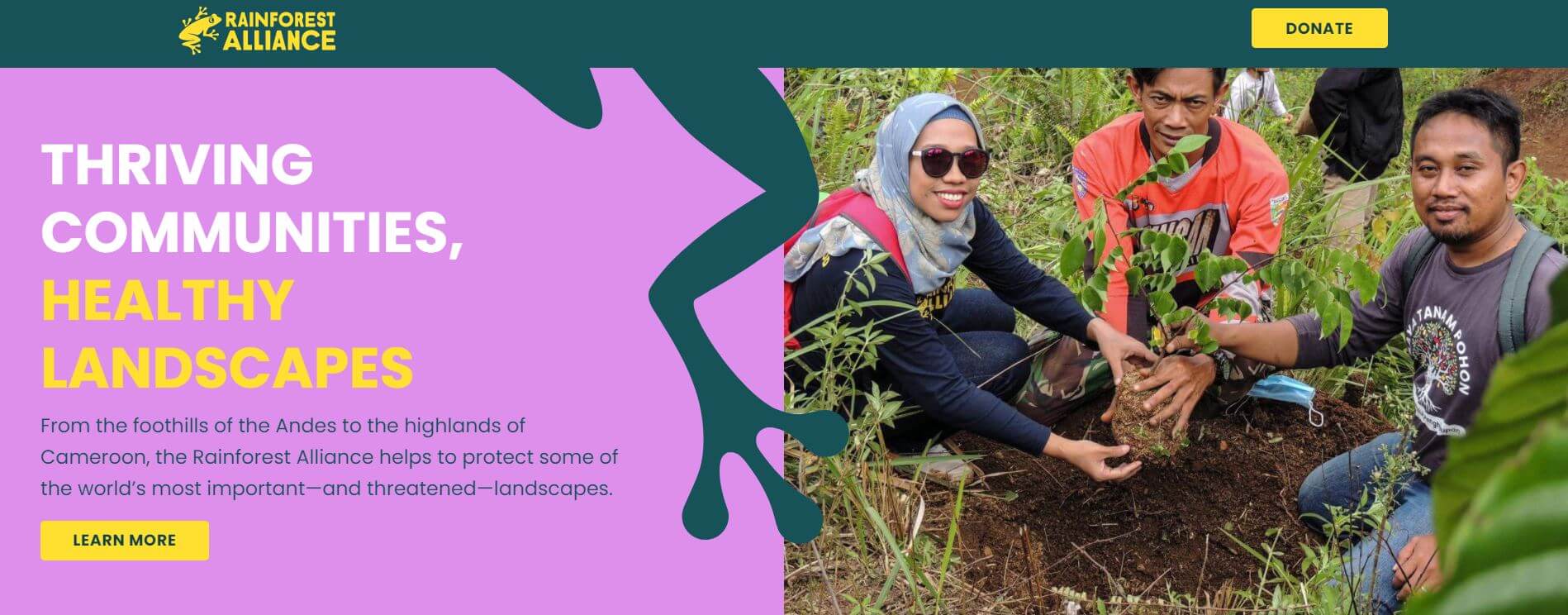 The Rainforest Alliance's Drupal-based website The Rainforest Alliance's website on Drupal