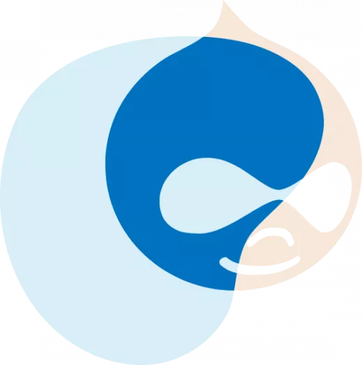 Drupal Company